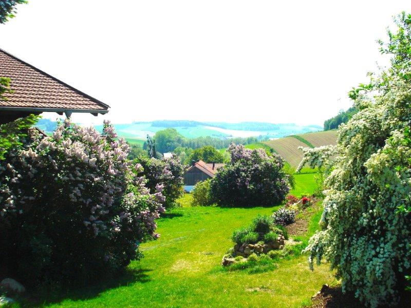 Über dem Pilgerhof